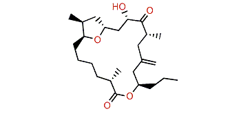Amphidinolide T4